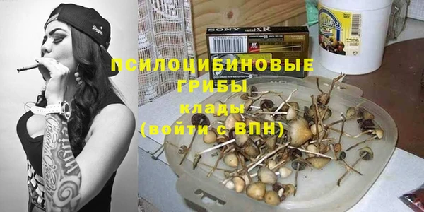spice Белокуриха